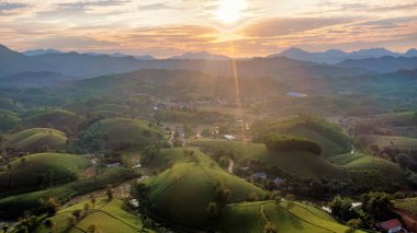 Aerial view of tea plantation and sunrise at Long Coc tea hill, Phu Tho province, Vietnam clipart