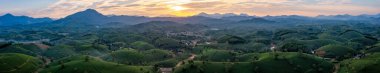 Aerial view of tea plantation and sunrise at Long Coc tea hill, Phu Tho province, Vietnam clipart