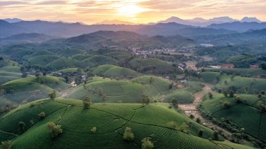 Vietnam 'ın Phu Tho bölgesindeki Long Coc çay tepesindeki çay tarlası ve gün doğumu manzarası.