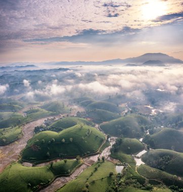 Aerial view of tea plantation and sunrise at Long Coc tea hill, Phu Tho province, Vietnam clipart