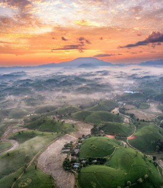 Vietnam 'ın Phu Tho bölgesindeki Long Coc çay tepesindeki çay tarlası ve gün doğumu manzarası.