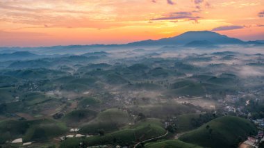 Vietnam 'ın Phu Tho bölgesindeki Long Coc çay tepesindeki çay tarlası ve gün doğumu manzarası.