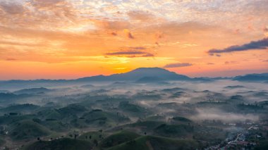 Aerial view of tea plantation and sunrise at Long Coc tea hill, Phu Tho province, Vietnam clipart