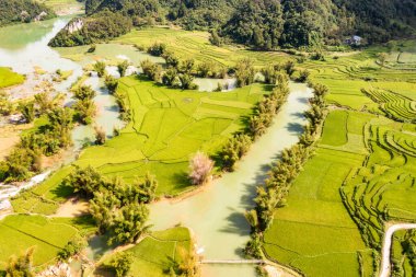 Quay Son nehrindeki hava manzarası, Trung Khanh, Cao Bang, Vietnam doğası, yeşil pirinç tarlaları ve kırsal yerleşim evleri. Seyahat ve manzara konsepti.