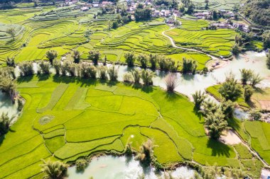 Quay Son nehrindeki hava manzarası, Trung Khanh, Cao Bang, Vietnam doğası, yeşil pirinç tarlaları ve kırsal yerleşim evleri. Seyahat ve manzara konsepti.