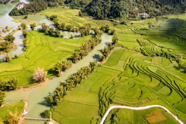 Quay Son nehrindeki hava manzarası, Trung Khanh, Cao Bang, Vietnam doğası, yeşil pirinç tarlaları ve kırsal yerleşim evleri. Seyahat ve manzara konsepti.