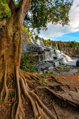 Dalat yakınlarındaki Pongour Şelalesi, Vietnam