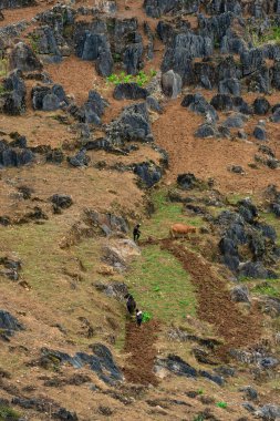 Bahar ve Vietnam 'daki Hmong etnik grubunun barış dolu yaşamı.