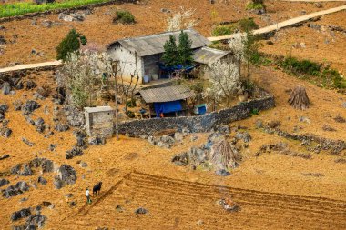 Bahar ve Vietnam 'daki Hmong etnik grubunun barış dolu yaşamı.