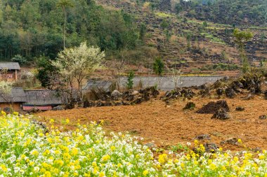 Bahar ve Vietnam 'daki Hmong etnik grubunun barış dolu yaşamı.