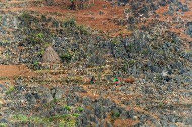 Bahar ve Vietnam 'daki Hmong etnik grubunun barış dolu yaşamı.