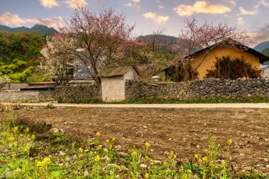 Bahar ve Vietnam 'daki Hmong etnik grubunun barış dolu yaşamı.