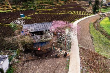 Bahar ve Vietnam 'daki Hmong etnik grubunun barış dolu yaşamı.