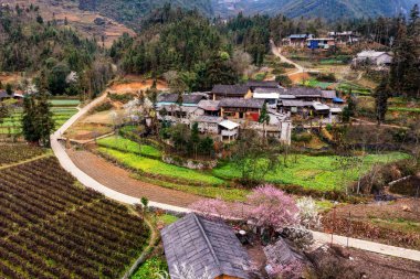 Bahar ve Vietnam 'daki Hmong etnik grubunun barış dolu yaşamı.