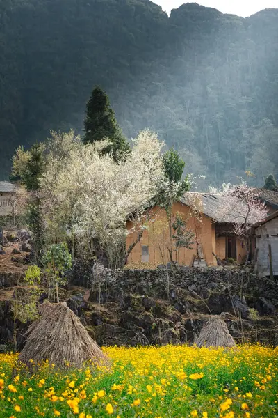Bahar ve Vietnam 'daki Hmong etnik grubunun barış dolu yaşamı.