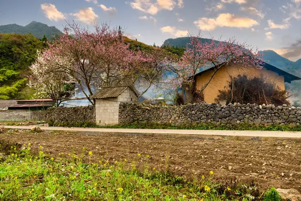 Bahar ve Vietnam 'daki Hmong etnik grubunun barış dolu yaşamı.