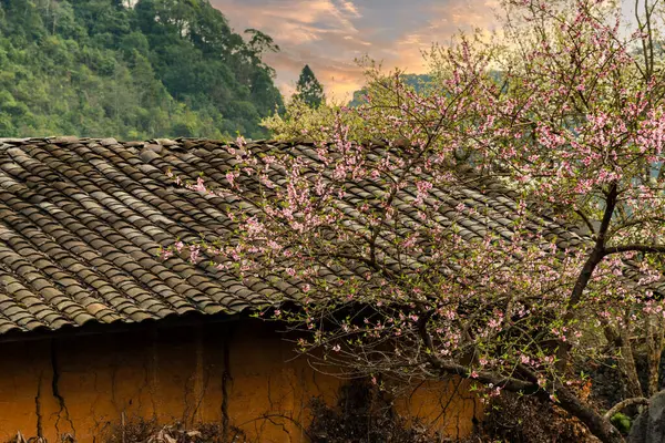 Bahar ve Vietnam 'daki Hmong etnik grubunun barış dolu yaşamı.