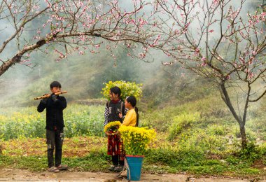Ha Giang, Vietnam - 15 Ocak 2024 İlkbahar ve Vietnam 'daki Hmong etnik grubunun barış dolu yaşamı.