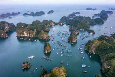 Lan Ha Koyu, UNESCO Dünya Mirası Alanıdır. Kuzey Vietnam 'da çok güzel bir doğa harikasıdır.