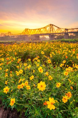Uzun Bien Köprüsü, Fransa 'nın işgali sırasında 1989-1902 yılları arasında inşa edilmiştir. Köprü Fransızlar tarafından tasarlanmasına rağmen, doğrudan Vietnamlı işçiler tarafından inşa edildi.