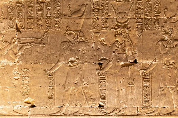 Hieroglyphs Engraved Wall Edfu Temple Egypt — Stock Photo, Image