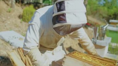 Koruyucu elbiseli arı yetiştiricisi arı kovanını başka bir yere taşıyor.