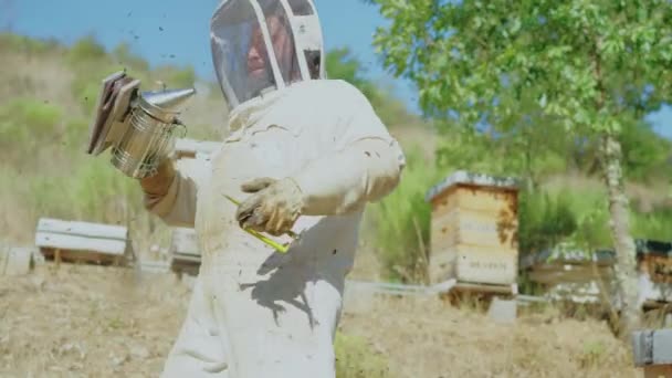 養蜂家は畑に蜂が刺さるのを防ぐために煙を吹いている — ストック動画
