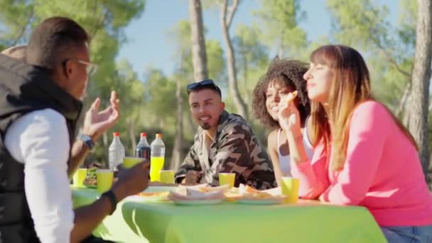 Multiétnico Grupo Feliz Amigos Comendo Parque Dia Ensolarado — Vídeo de Stock