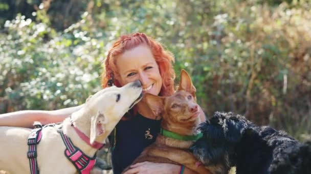 Videoclip Orizontal Femeie Înconjurată Câini Zâmbind Cameră Timp Câine Își — Videoclip de stoc