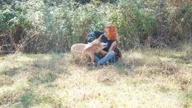 Horizontal video with the camera zooming to a lovely woman caressing dogs while smiling sitting on the grass