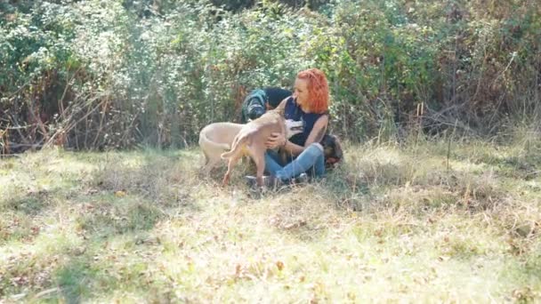 Video Horisontal Dengan Kamera Zoom Untuk Wanita Cantik Membelai Anjing — Stok Video