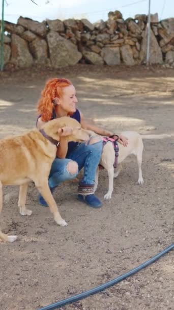 Vertical Video Caucasian Friendly Woman Crouches Pet Some Dogs Gets — Stok video