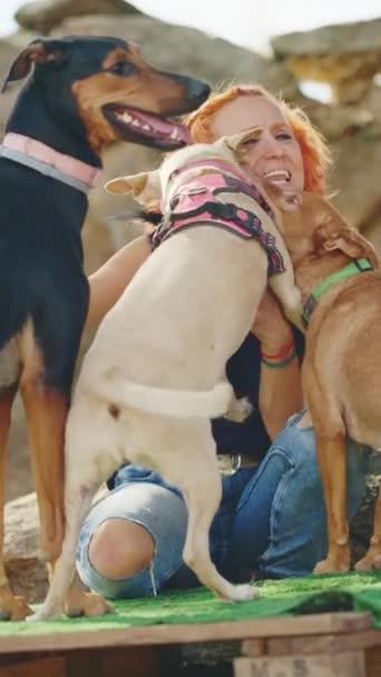 友好的な犬のグループの垂直ビデオキスと公園で女性を取り巻く — ストック動画