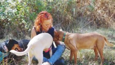 horizontal video of a woman sitting on the grass while holding a dog in her arms and petting a group of dogs outdoors