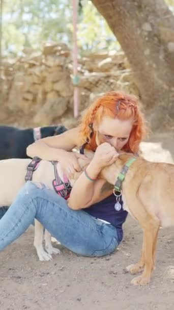 Vertical Video Tender Scene Woman Kissing Dog Surrounded Other Dogs — Stok video