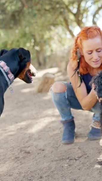 Vertical Video Caucasian Woman Squatting Petting Dogs Park — Stockvideo
