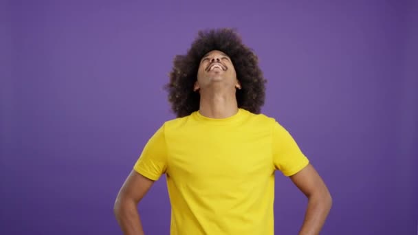 Cool African Man Afro Hair Laughing While Looking Camera Studio — Vídeo de Stock