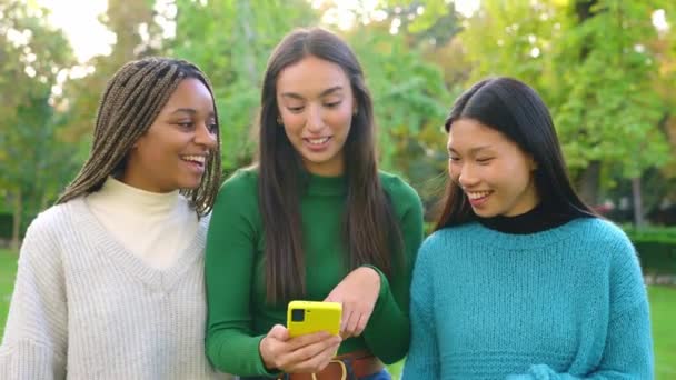 Çok Irklı Arkadaşların Parkta Cep Telefonlarını Kullanırken Gülümsemelerini Gösteren Orta — Stok video
