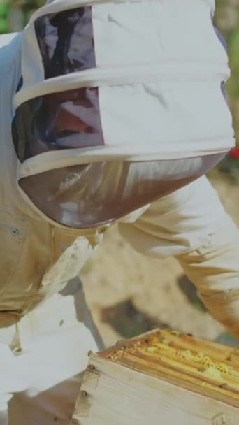 Imker Mit Schutzkleidung Verlegen Bienenstock Einen Anderen Ort — Stockvideo