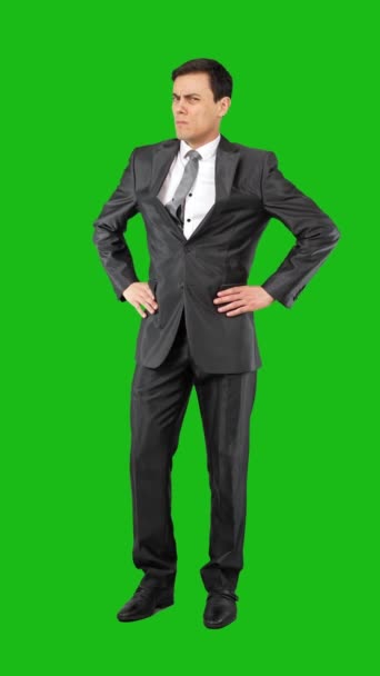 Pełne Ciało Poważnego Mężczyzny Eleganckim Garniturze Patrząc Aparat Odizolowany Zielonym — Wideo stockowe