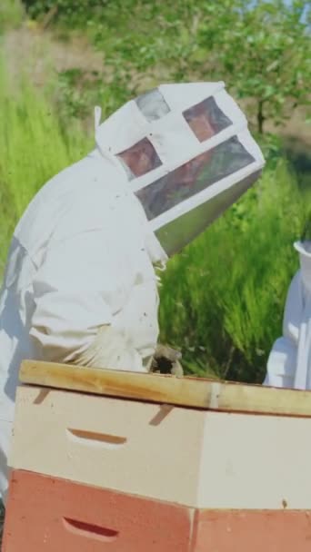 在蜂房工作时 养蜂人和助手在说话 — 图库视频影像