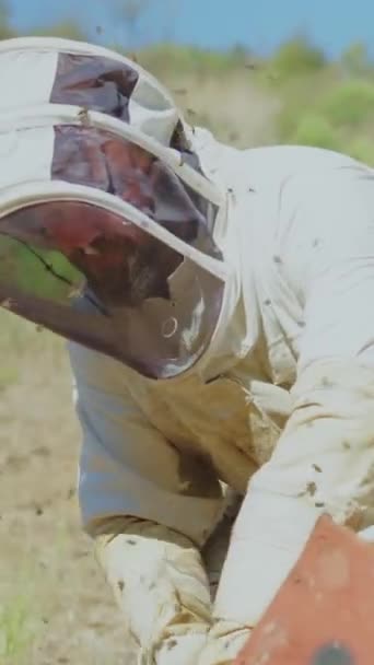 보호용 벌통에서 일하는 양봉가와 주위에 벌들이 — 비디오