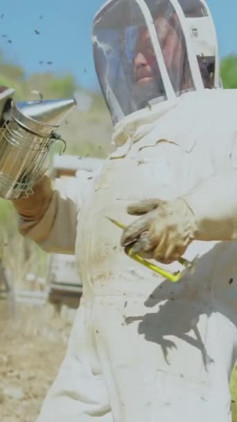養蜂家は畑に蜂が刺さるのを防ぐために煙を吹いている — ストック動画