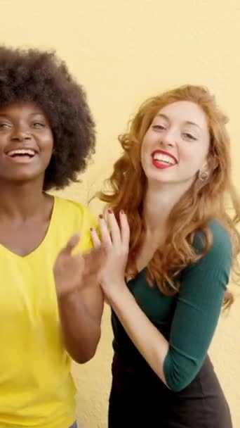 Vídeo Cámara Lenta Dos Mujeres Multiculturales Riéndose Cámara Entre Ellas — Vídeos de Stock