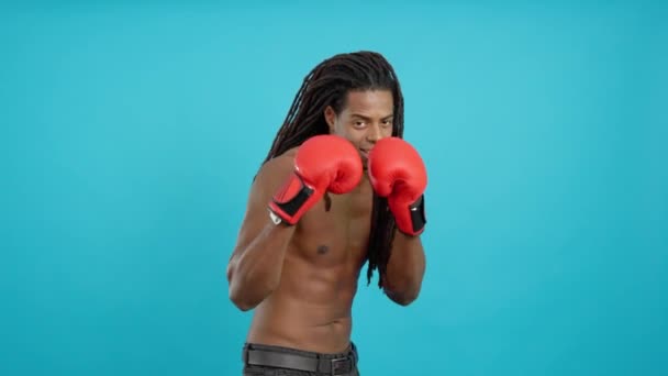 蓝色背景工作室里戴着红色拳击手套 头戴可怕头发的专业拉丁男性拳击手 — 图库视频影像