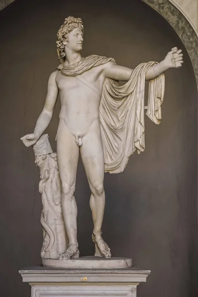 Vaticaanstad Augustus 2008 Standbeeld Van Apollo Belvedere Romeinse Kopie Uit — Stockfoto