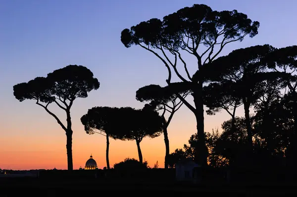 Panoramique Ville Rome Crépuscule Avec Coupole Saint Pierre Loin — Photo