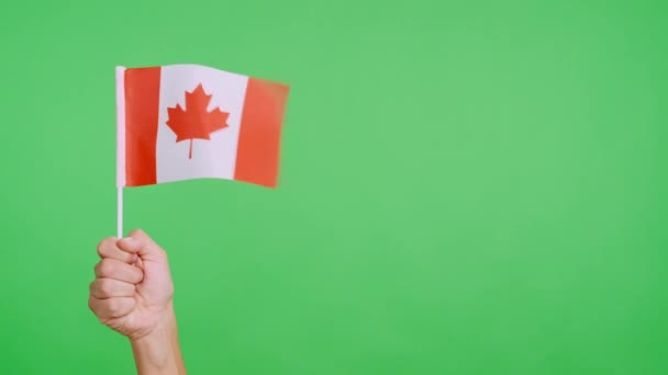 Vinden Viftar Med Kanadensisk Vimpel Med Hand Video Långsamma Rörelser — Stockvideo