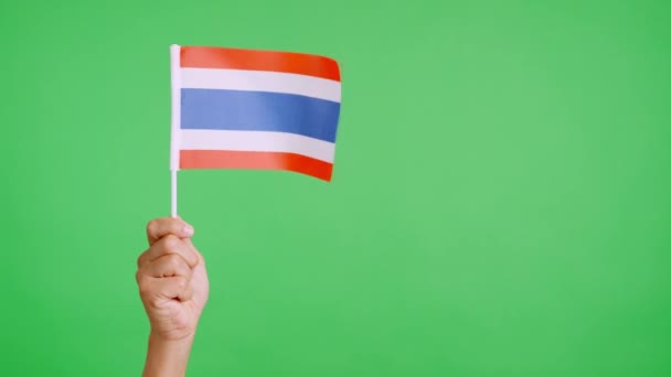 Angin Melambaikan Bendera Thai Memegang Oleh Tangan — Stok Video