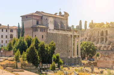 Ön planda Antoninus ve Faustina Tapınağı 'nın bulunduğu Roma Forumu, daha sonra arka planda Palatine Tepesi olan Miranda' da San Lorenzo kilisesine dönüştürüldü.
